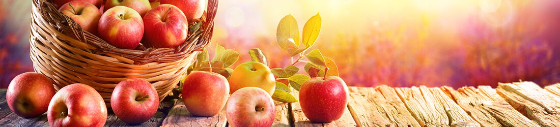 Ernährungs-Psychologische Beratung Apfel