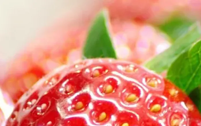 Ernährungsberatung und Ernährungstherapie im Vergleich